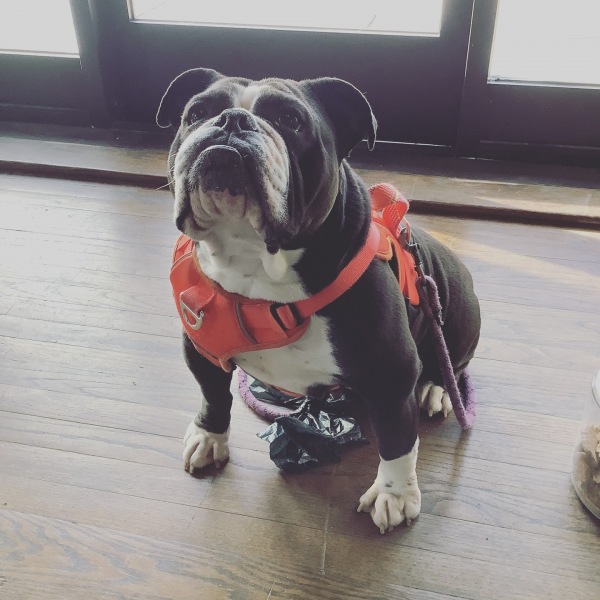 Available 1, 2, or 3 bedroom apartments in Porterdale, GA Porterdale